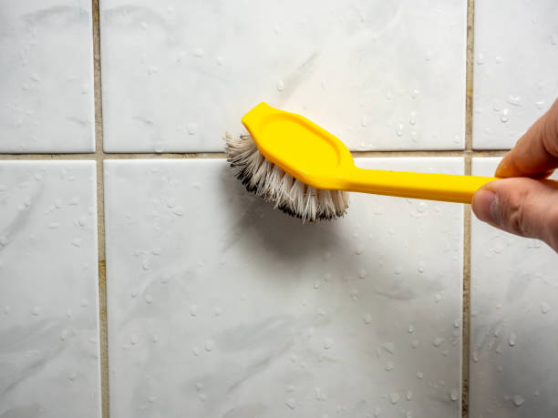 Mold Removal and Inspection in Enderlin, ND