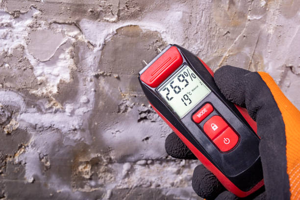 Best Affordable Mold Removal  in Eerlin, ND