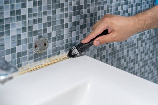 Best Mold Testing  in Eerlin, ND